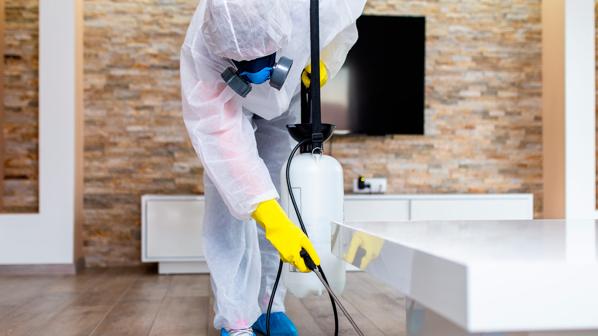 Pest Control Services: Protecting Your Property Investment and Health